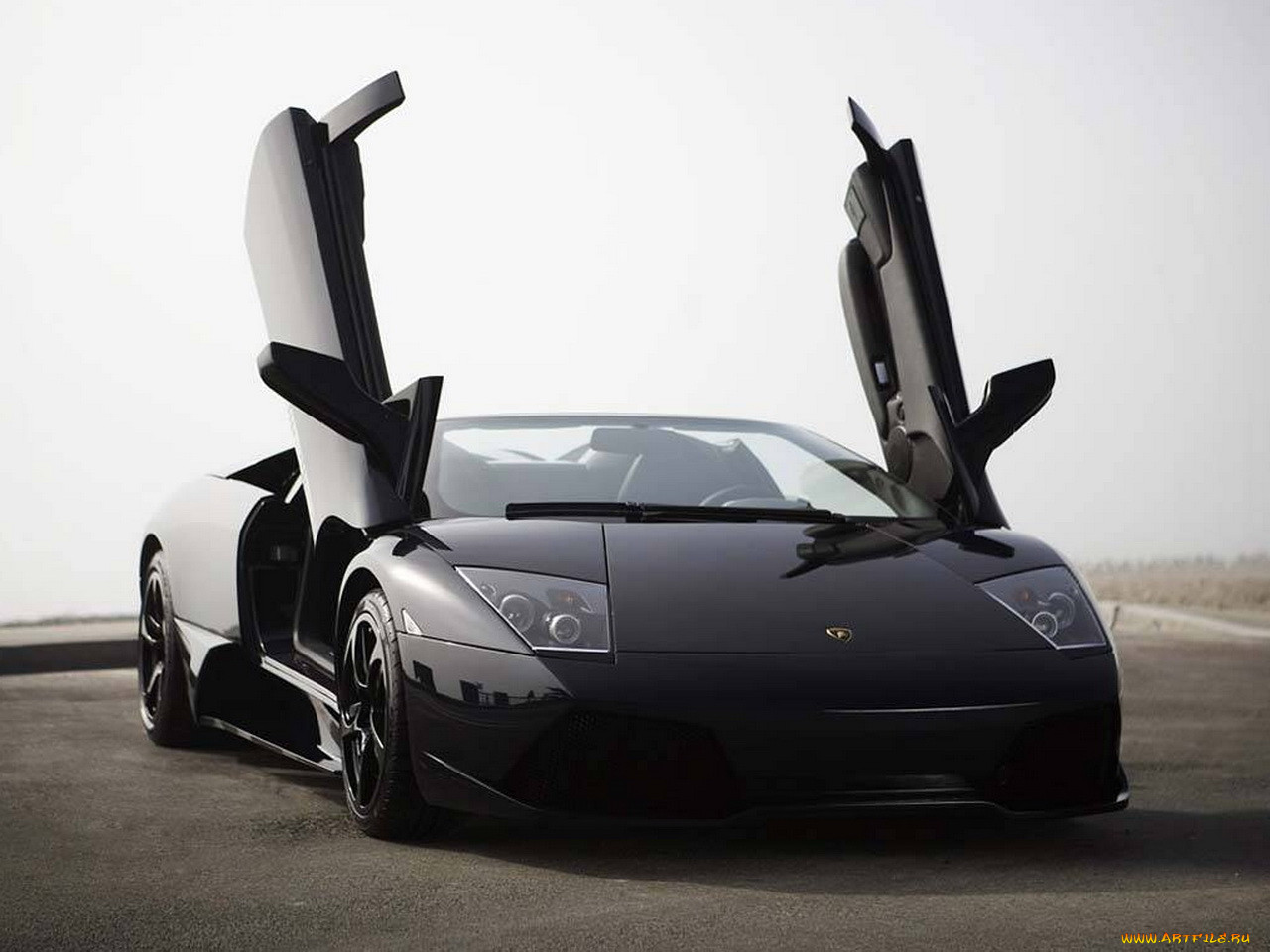 , lamborghini
